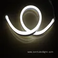 Shenzhen Factory Price Outdoor Waterproof LED Neon Light